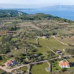 Casa Maslina - Olive House Hvar Hébergement de vacances *