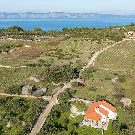 Prázdninový dům Casa Maslina - Olive House Hvar *
